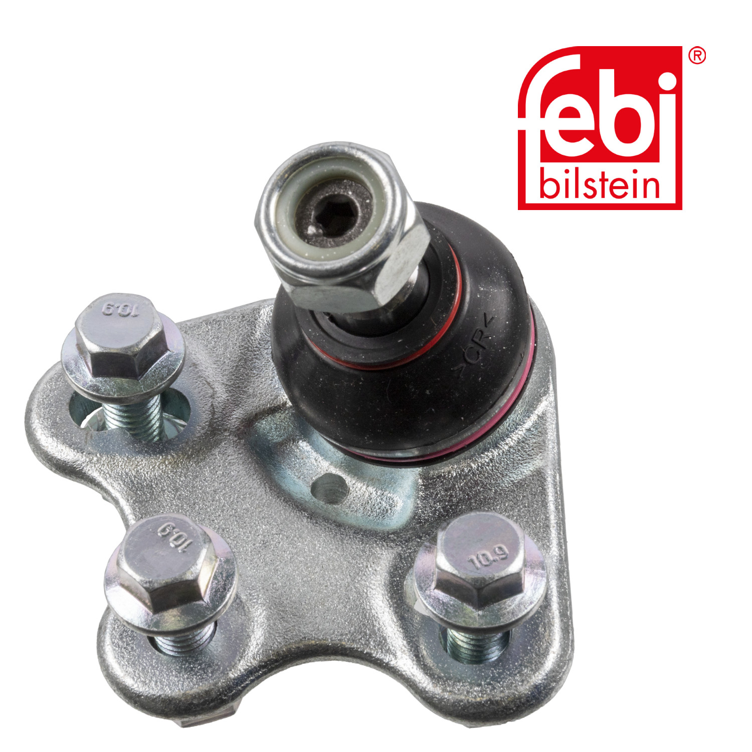 1693330127 - ROTULA INFERIOR