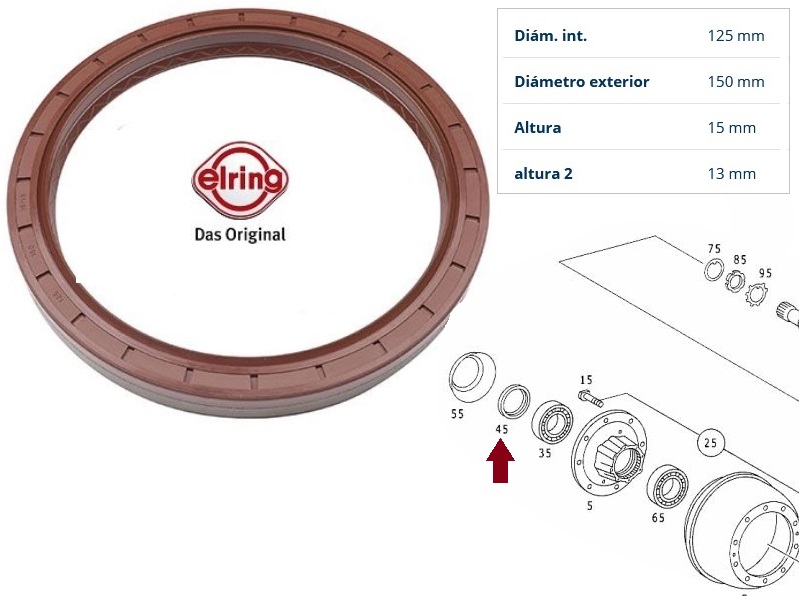 0169977747 - RETEN MAZA TRASERA