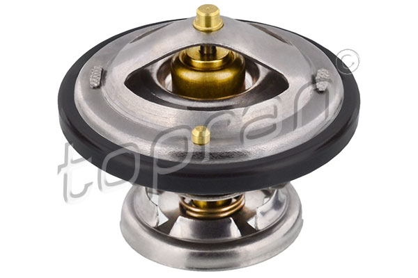 6012000015 - TERMOSTATO