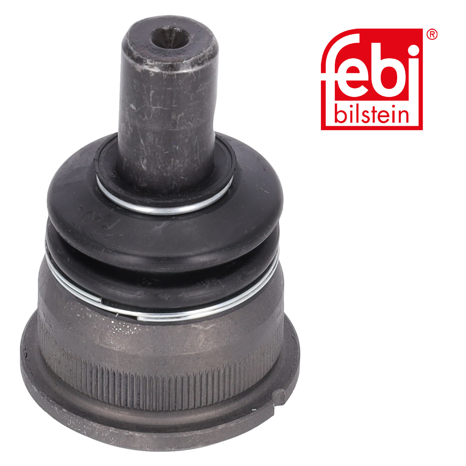 1243330327 - ROTULA INFERIOR