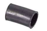 6512031682 - MANGON CONEXION BASE FILTRO 
